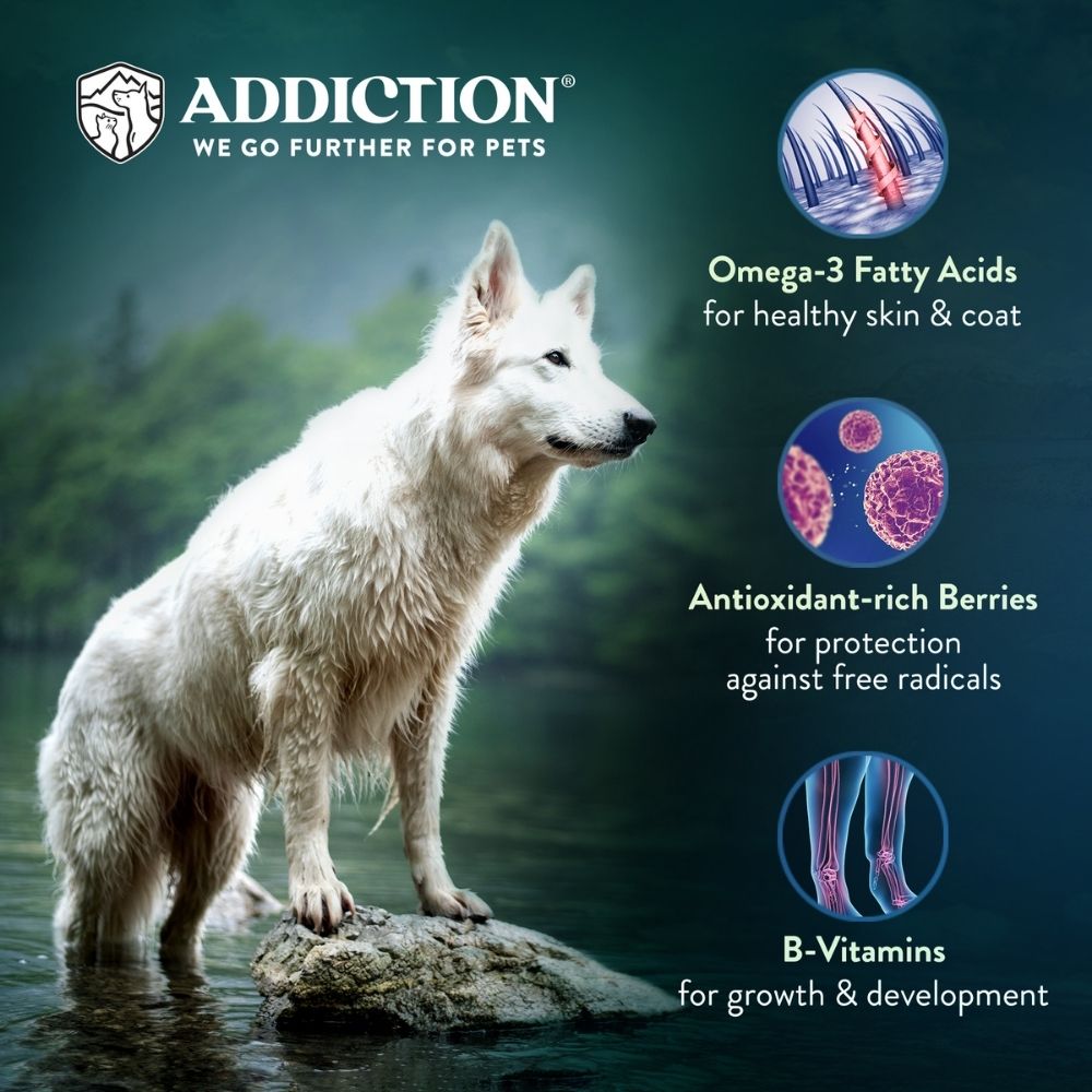 15% OFF/FREE TREATS: Addiction Salmon Bleu Grain-Free Dry Dog Food