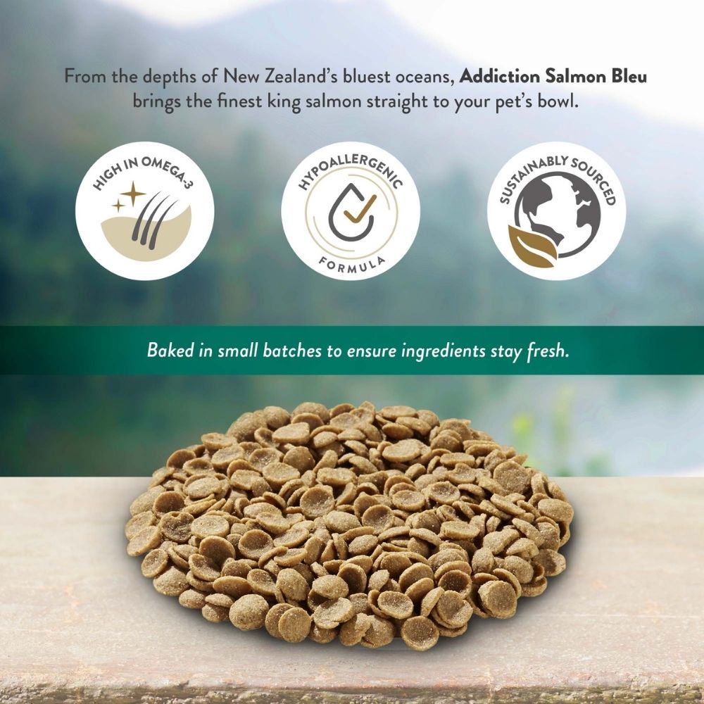 15% OFF/FREE TREATS: Addiction Salmon Bleu Grain-Free Dry Dog Food