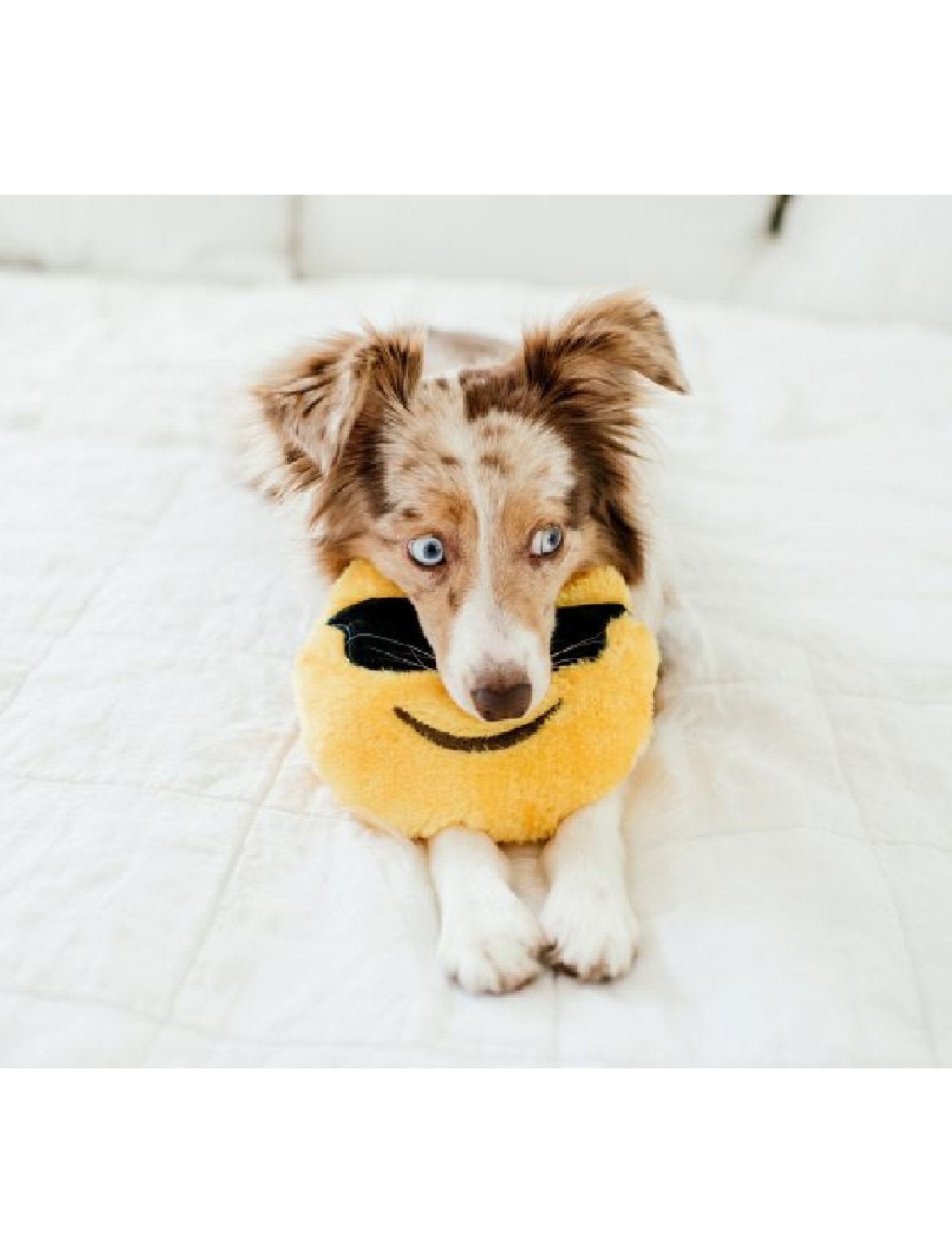 ZippyPaws Squeakie Emojiz Cool Dude Dog Toy