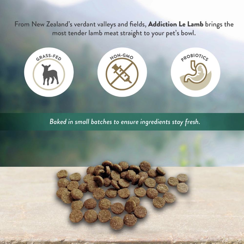 15% OFF/FREE TREATS: Addiction Le Lamb Grain Free Dry Dog Food