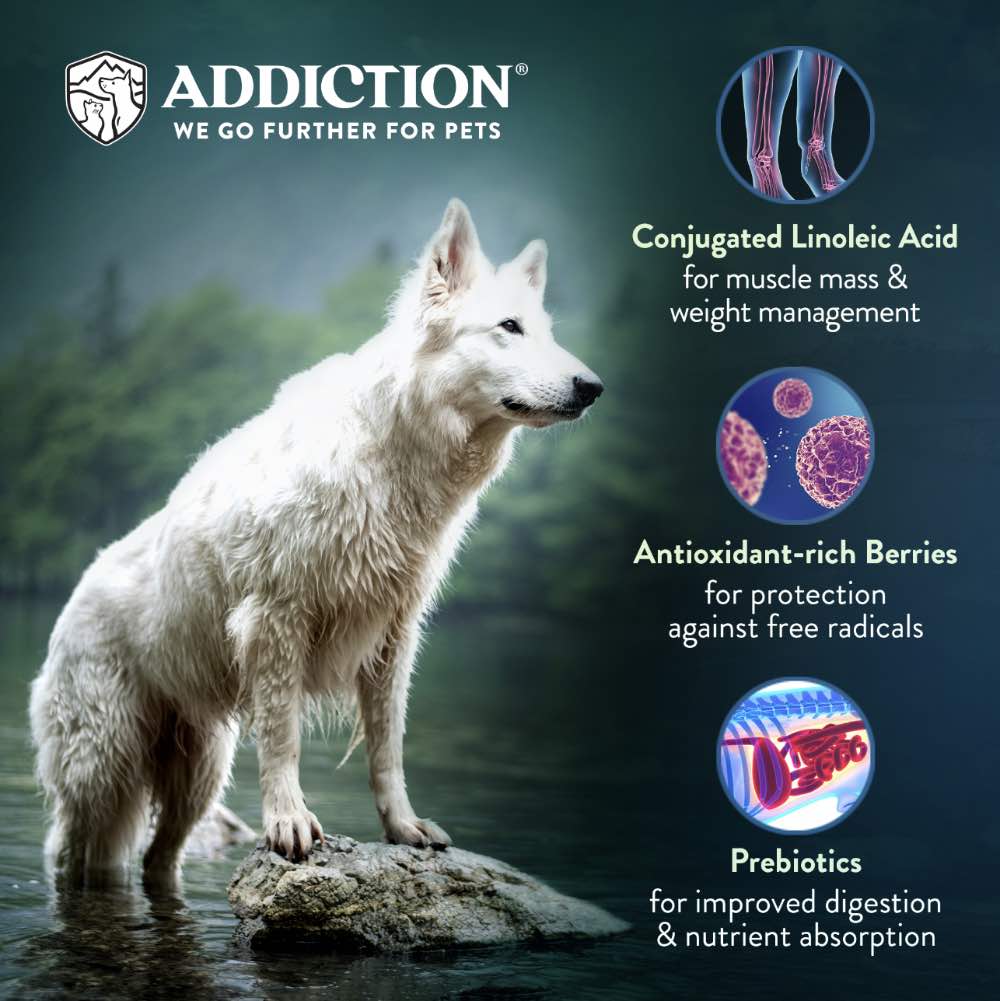 15% OFF: Addiction Herbed Lamb & Potatoes Grain Free Raw Alternative Dog Food 2lb