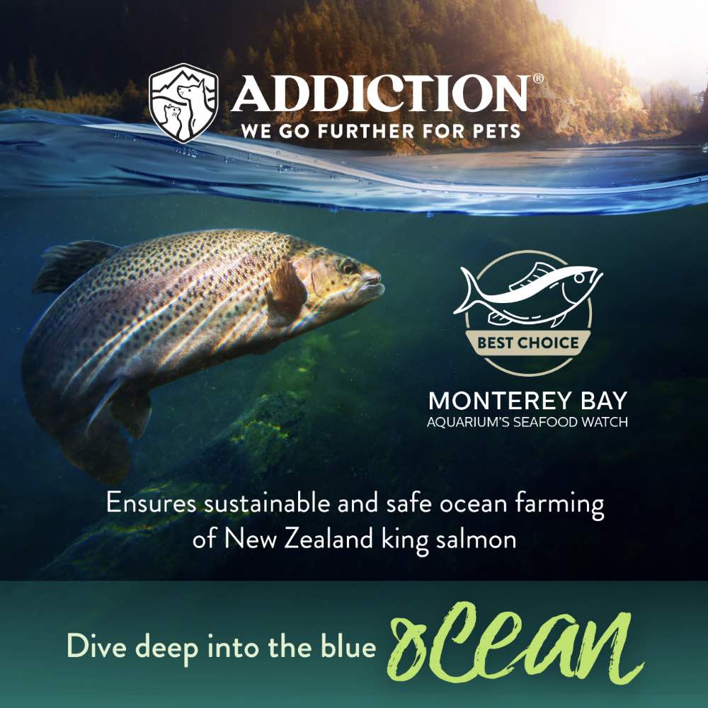 15% OFF/FREE TREATS: Addiction Salmon Bleu Puppy Grain Free Dry Dog Food