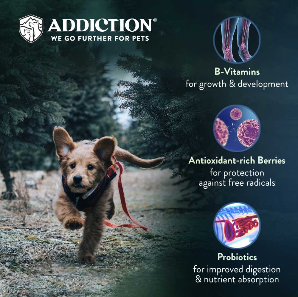 15% OFF/FREE TREATS: Addiction Salmon Bleu Puppy Grain Free Dry Dog Food