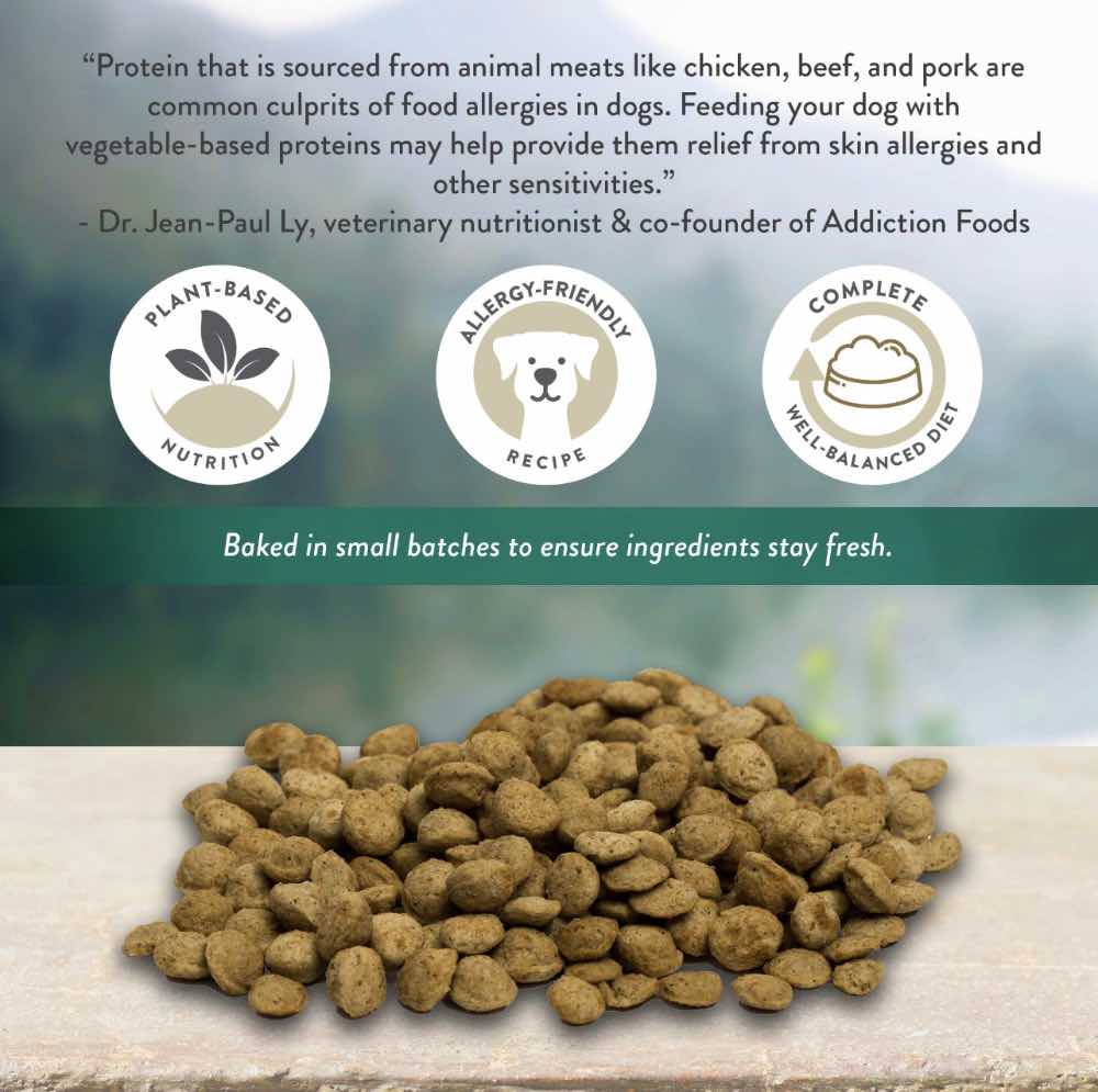 15% OFF: Addiction Zen Vegetarian Dry Dog Food