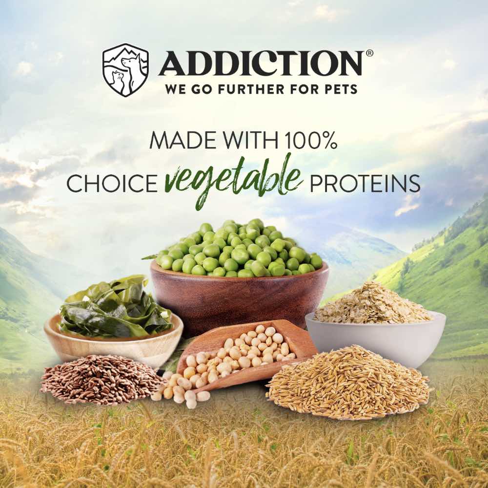 15% OFF: Addiction Zen Vegetarian Dry Dog Food