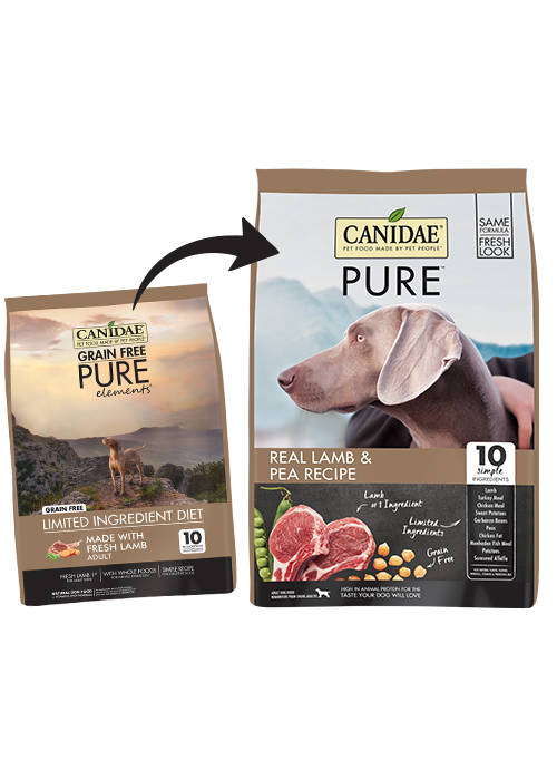 Canidae Grain-Free Pure Elements Real Lamb Recipe Dry Dog Food