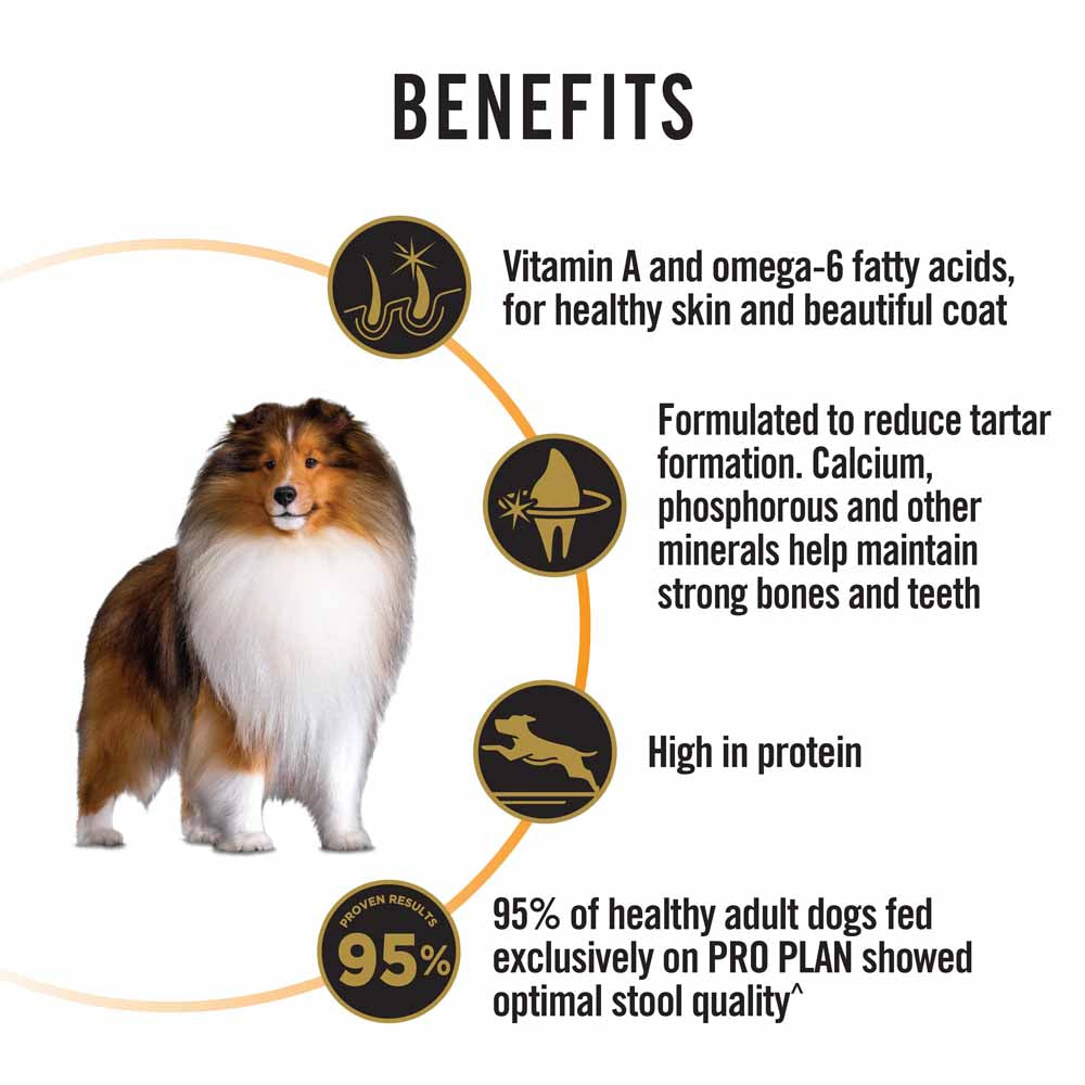 Pro Plan Medium Adult Essential Health Dry Dog Food